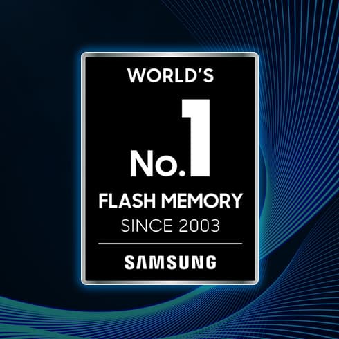 Memoria flash numarul 1 din lume
